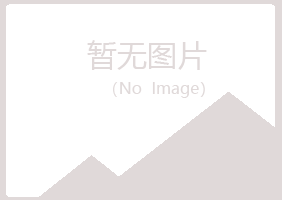 鹤壁鹤山向彤服务有限公司